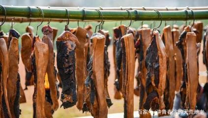 臘肉 致癌還是健康？科學視角下的腌制鹽分析